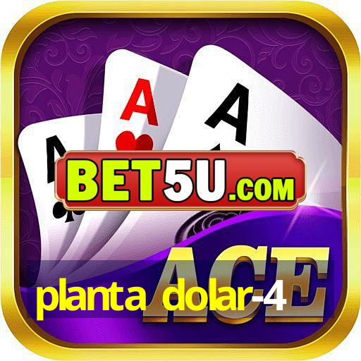 planta dolar